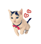 まゆげなもち猫（個別スタンプ：1）