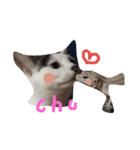 まゆげなもち猫（個別スタンプ：7）