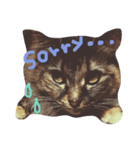 ティラミス猫（個別スタンプ：2）