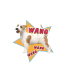 Jack Russell didi（個別スタンプ：8）