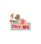 Jack Russell didi（個別スタンプ：11）