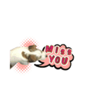 Jack Russell didi（個別スタンプ：14）