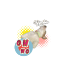 Jack Russell didi（個別スタンプ：16）