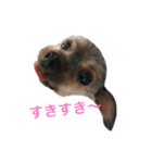 つぶやきイヌ（個別スタンプ：2）
