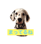 アビポン（個別スタンプ：2）