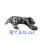 アビポン（個別スタンプ：3）