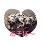 アビポン（個別スタンプ：4）