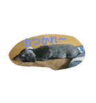 りりさんのスタンプ（個別スタンプ：6）