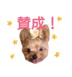 モジャワンスタンプ2（個別スタンプ：6）