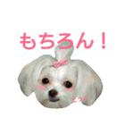 モジャワンスタンプ2（個別スタンプ：9）