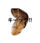 かわいいデブ猫はなちゃん（個別スタンプ：5）
