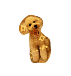 トイプードル犬のシュクレ（個別スタンプ：10）