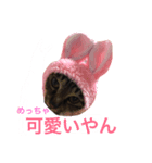 我が家のお気に入り（個別スタンプ：2）