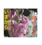 待ち合わせに使える。曜日スタンプ（個別スタンプ：31）