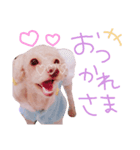 ご挨拶うにくん②（個別スタンプ：1）