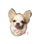MK-brothers 1（個別スタンプ：4）