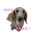 kaito aisatsu（個別スタンプ：22）