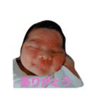 kaito aisatsu（個別スタンプ：32）