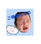 よしくんスタンプ 1（個別スタンプ：6）