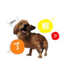 原田さんちの心夏ちゃん（個別スタンプ：10）