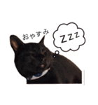 まいにちねこちゃん（個別スタンプ：26）