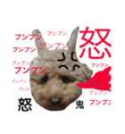 トイプードルのモコ様★（個別スタンプ：10）