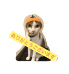 猫のたまご（個別スタンプ：5）