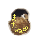 ハルマトム2（個別スタンプ：3）