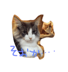 ハルマトム2（個別スタンプ：8）