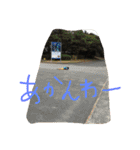 こんたろうスタンプ第2弾（個別スタンプ：4）