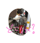 こんたろうスタンプ第2弾（個別スタンプ：27）