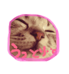 なぼなルークびび（個別スタンプ：8）