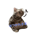 なぼなルークびび（個別スタンプ：14）