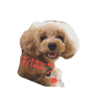 I'm Ayaka（個別スタンプ：3）