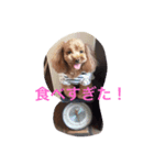 noa  ＆ FRIENDS（個別スタンプ：2）