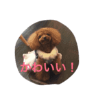 noa  ＆ FRIENDS（個別スタンプ：3）