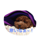 noa  ＆ FRIENDS（個別スタンプ：8）