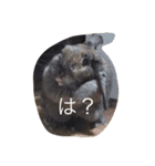 気まぐれ うさ子のぷーちゃん（個別スタンプ：1）