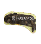 気まぐれ うさ子のぷーちゃん（個別スタンプ：3）