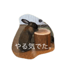気まぐれ うさ子のぷーちゃん（個別スタンプ：6）
