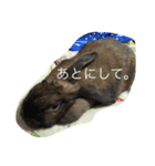 気まぐれ うさ子のぷーちゃん（個別スタンプ：7）