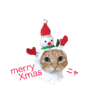 うちの猫 猫（個別スタンプ：4）