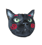 うちの猫 猫（個別スタンプ：13）