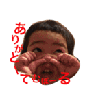 じょうとさん（個別スタンプ：8）