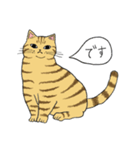 うちのトラちゃんは（個別スタンプ：1）
