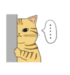 うちのトラちゃんは（個別スタンプ：7）