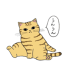 うちのトラちゃんは（個別スタンプ：9）