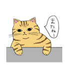うちのトラちゃんは（個別スタンプ：10）