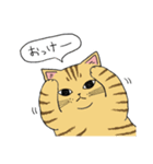 うちのトラちゃんは（個別スタンプ：12）
