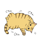 うちのトラちゃんは（個別スタンプ：15）